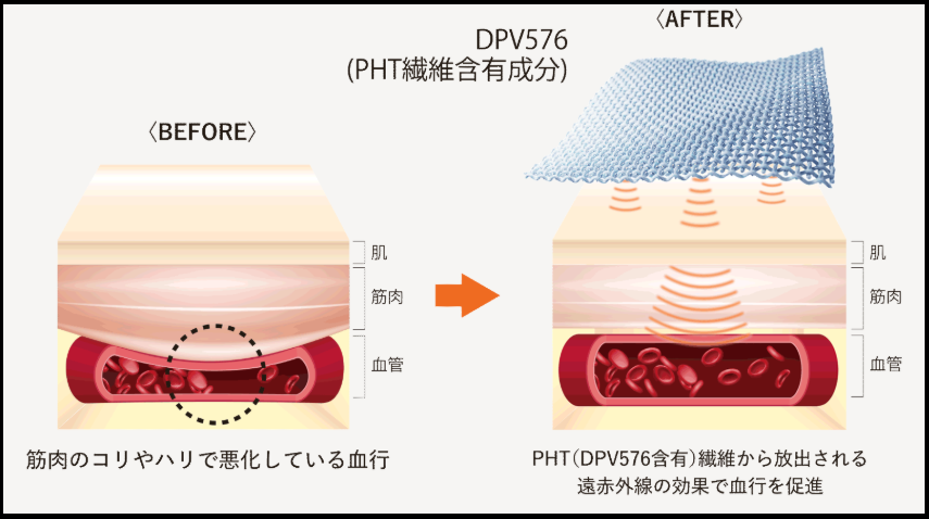 ベネクスのPHT繊維の公式サイトの画像